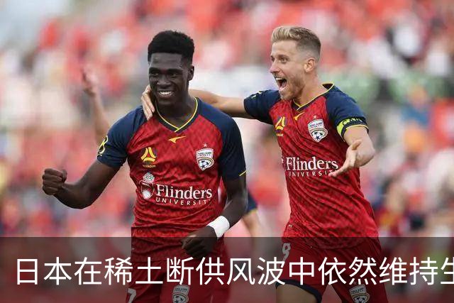 日本在稀土断供风波中依然维持生产，背后真相揭示何在